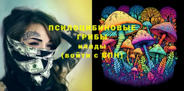дурь Алексеевка
