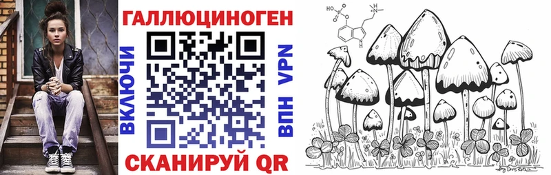 Псилоцибиновые грибы Cubensis  сколько стоит  Амурск 